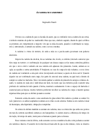 A-Cadeira-No-Candomble.pdf
