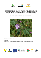 EEtnobotanicoAFLOSUL06Rectf.pdf