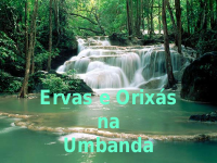 Ervas-e-Orixas-na-Umbanda-1.pdf.pdf.pdf