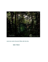 Ewe-Orisa-Ifa.pdf