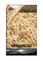 obaluac3a8.pdf
