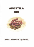 obi.pdf