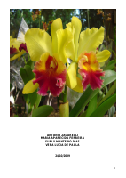 TRABALHOFLORAIS.pdf