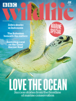 BBC_Wildlife_-_June_2024_freemagazines_top.pdf