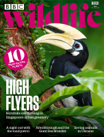 BBC_Wildlife_Magazine_-_March_2024.pdf