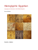 Hieroglyphic_Egyptian_An_Introduction_to.pdf