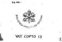 Vat.copt.13.pdf