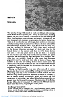 beira_in_ethiopia.pdf
