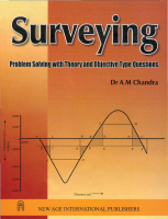 Surveying_Problem_Solving_with_Theory.pdf
