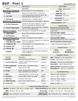 BGP.pdf