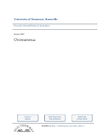 Oromumma-Asafa.pdf