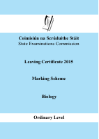 2015_OL_soln.pdf