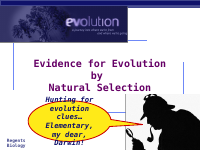 34evolution_Evidence2007.pdf