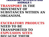 4.TRANSPORT.ppt