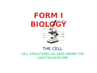 CELL.pptx