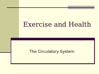 Circulation.pdf