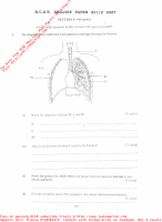 KCSE-2007-BIOLOGY-P2.pdf
