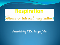 RESPIRATION.pdf
