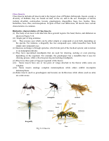 SAMPLE.pdf