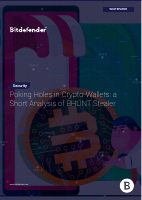 BHUNT_Stealer.pdf