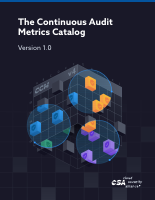 Continuous_Audit_Metrics.pdf