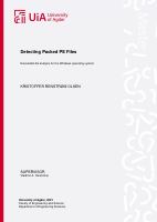 Detecting_Packed_PE_Files.pdf