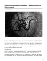 Ramnit_worm.pdf