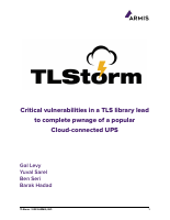 TLStorm.pdf