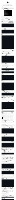 freebsd_escalate.pdf