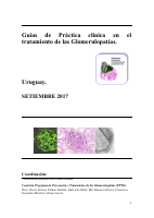 Guias_de_Practica_clinica_para_tratamiento_de_las_Glomerulopatias.pdf