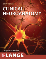stephen-g-waxman-clinical-neuroanatomy-lange-2020.pdf