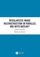 regularized_image_reconstruction_parallel_matlab@NetworkArtificial.pdf