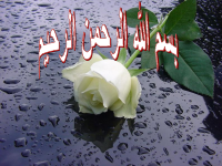 UploadFile_3028.pdf