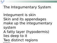 IntegumentarySystem(1).pptx