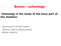 bones.pdf
