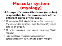 muscles.pdf
