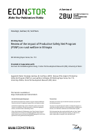zef-wp-173.pdf