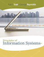 Principles_of_Information_Systems__A_Managerial_Approach.pdf