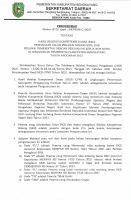 PENGUMUMAN-SKD.pdf