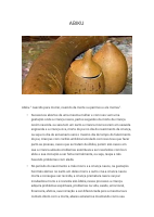 Abiku.pdf