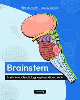 Brainstem.pdf