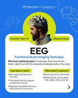 EEG-Electroencephalography.pdf