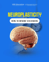 Neuroplasticity.pdf