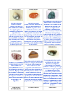 Cuarzos.pdf