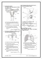 Grade_9_Int._Science_Q_&_A.pdf